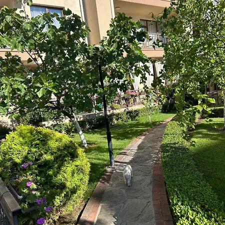 Sorrento E 24 * スヴェティ・ヴラス