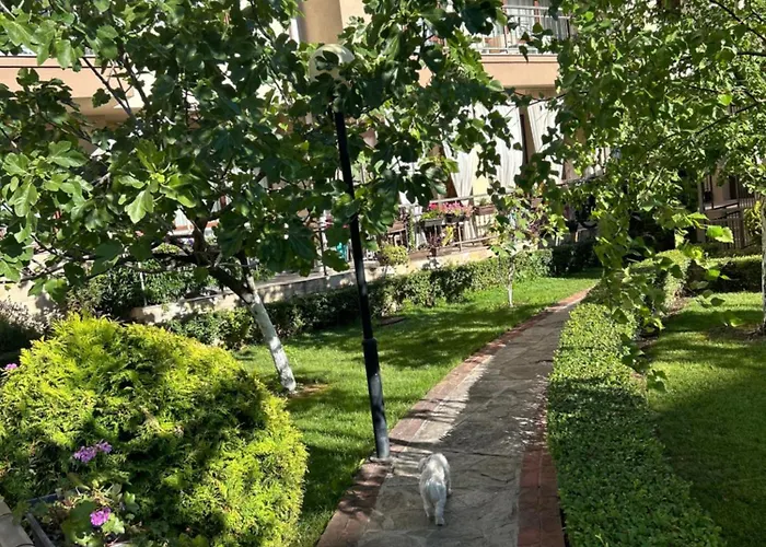 Sorrento E 24 * سفيتي فلاس